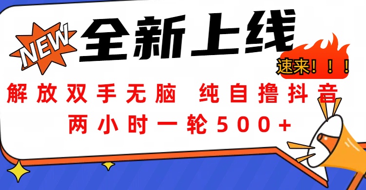 解放双手无脑 纯自撸抖音 两小时一轮500+-爱副业资源网